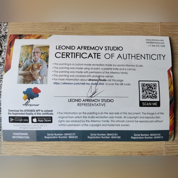 Bicycle in Amsterdam - Palette knife oil painting on canvas by Leonid Afremov - Picture 6 of 7